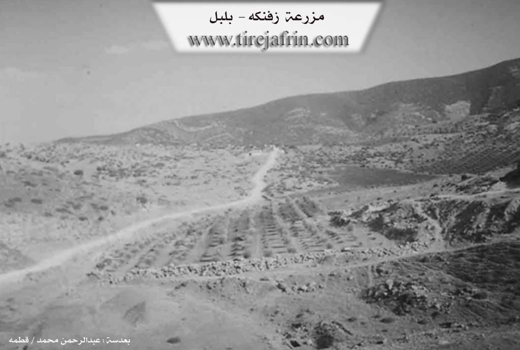 Photo of Zivingê - Bilbilê
